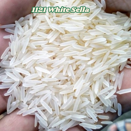 1121 White Sella
